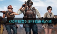 《和平精英》攻略——SKS狙击枪详细解析